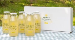 画像3: 果樹農家のカボスはちみつジュースギフト　　180ｍｌ5本組　夏ギフト・お中元・のし対応 