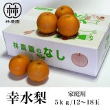 幸水梨　ご家庭用　約5kg(12〜16玉)　※8月上旬から発送予定