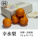 特撰梨・幸水　約3kg 化粧箱入(6〜7玉)　※8月上旬からの発送予定