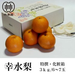 画像1: 特撰梨・幸水　約3kg 化粧箱入(6〜7玉)　※8月上旬からの発送予定