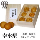 幸水　林農園一番梨　約3kg(6〜7玉)桐箱入　※8月5〜7日過ぎての発送予定
