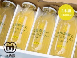 画像1: 果樹農家のカボスはちみつジュースギフト　　180ｍｌ5本組　夏ギフト・お中元・のし対応 