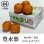 画像1: 旬の梨(豊水梨・秀品)　約2.5kg(6〜8玉)　 (1)