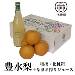 画像1: 豊水特選梨＋梨ジュース　　化粧箱入(4〜5玉)　