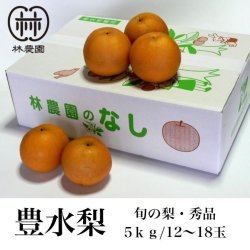 画像1: 旬の梨(豊水梨・秀品)　約5kg(12〜18玉) 