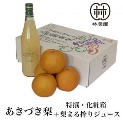 画像1: あきづき特選梨＋梨ジュース　　化粧箱入(5玉前後)