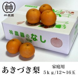 画像1: あきづき梨　ご家庭用　　約5kg(12〜16玉) 