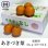 画像1: あきづき梨　ご家庭用　　約5kg(12〜16玉)  (1)