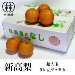 画像1: 超大玉　新高梨　ご家庭用　約5kg(6〜5玉) 