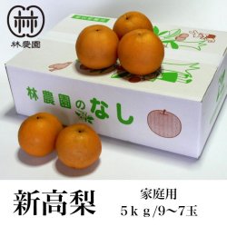 画像1: 新高梨　ご家庭用　約5kg(9〜7玉) 