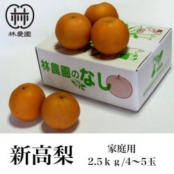 画像1: 新高梨　ご家庭用　約2.5kg(5〜4玉) 