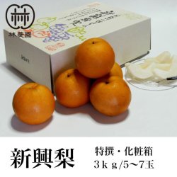 画像1: 酸味と甘みのハーモニー　特選　新興梨　化粧箱入約3kg(5〜6玉)　