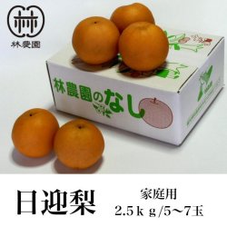 画像1: 日迎梨　家庭用　林農園オリジナル品種　約2.5kg(5〜7玉) 