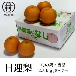 画像1: 旬の梨・日迎：林農園オリジナル品種　約2.5kg(5〜7玉) 　
