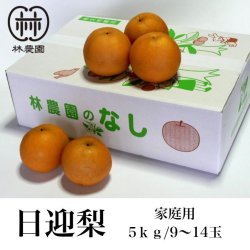 画像1: 日迎梨　家庭用　林農園オリジナル品種　約5kg(5〜14玉) 