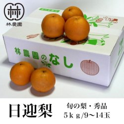 画像1: 旬の梨・日迎：林農園オリジナル品種　約5kg(7〜14玉)　