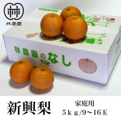 画像1: 酸味と甘みのハーモニー  新興梨 家庭用  約5kg(9〜16玉)