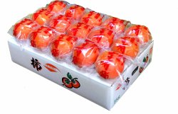 画像2: ご家庭用 富有柿(※カメムシ痕有・主にMサイズ)　約5kg　箱入り