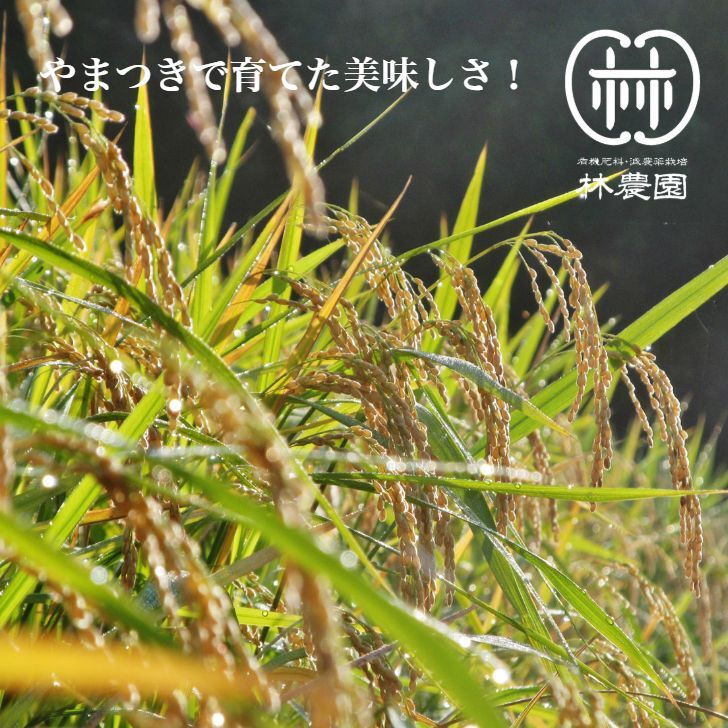 自然栽培・ヒノヒカリ 5kg（令和5年10月収穫・未検査米）※新米